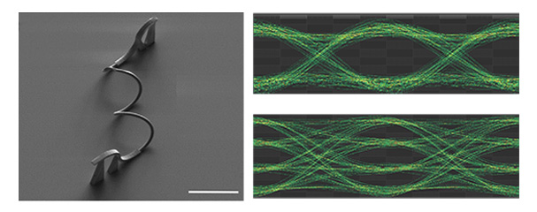 Light Confinement in a 3D Space
