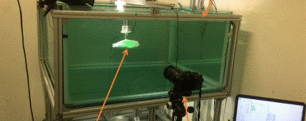 Teaching underwater stingray robots to swim faster and with greater precision using machine learning