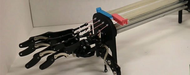 A butterflys first flight inspires a new way to produce force and electricity