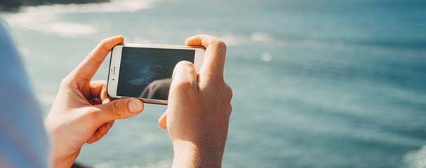 Using microorganisms to monitor water quality within minutes