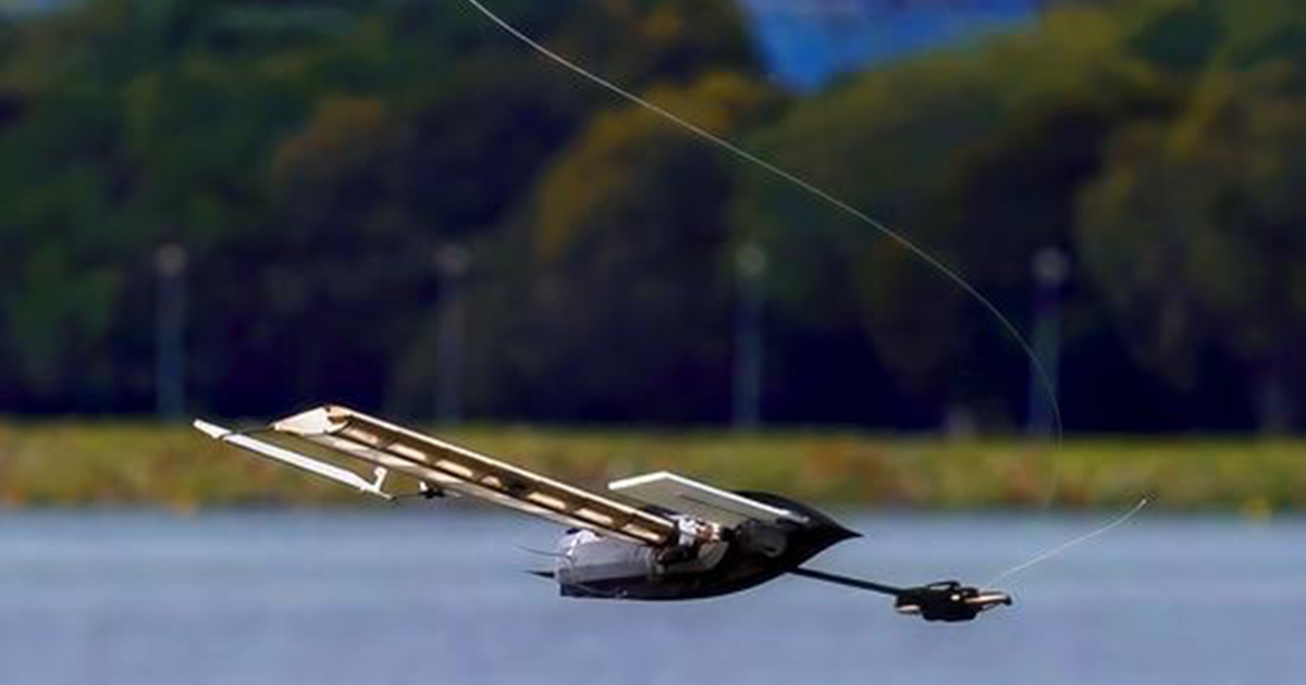SUTD researchers develop robot that falls like a maple seed and sails like a boat