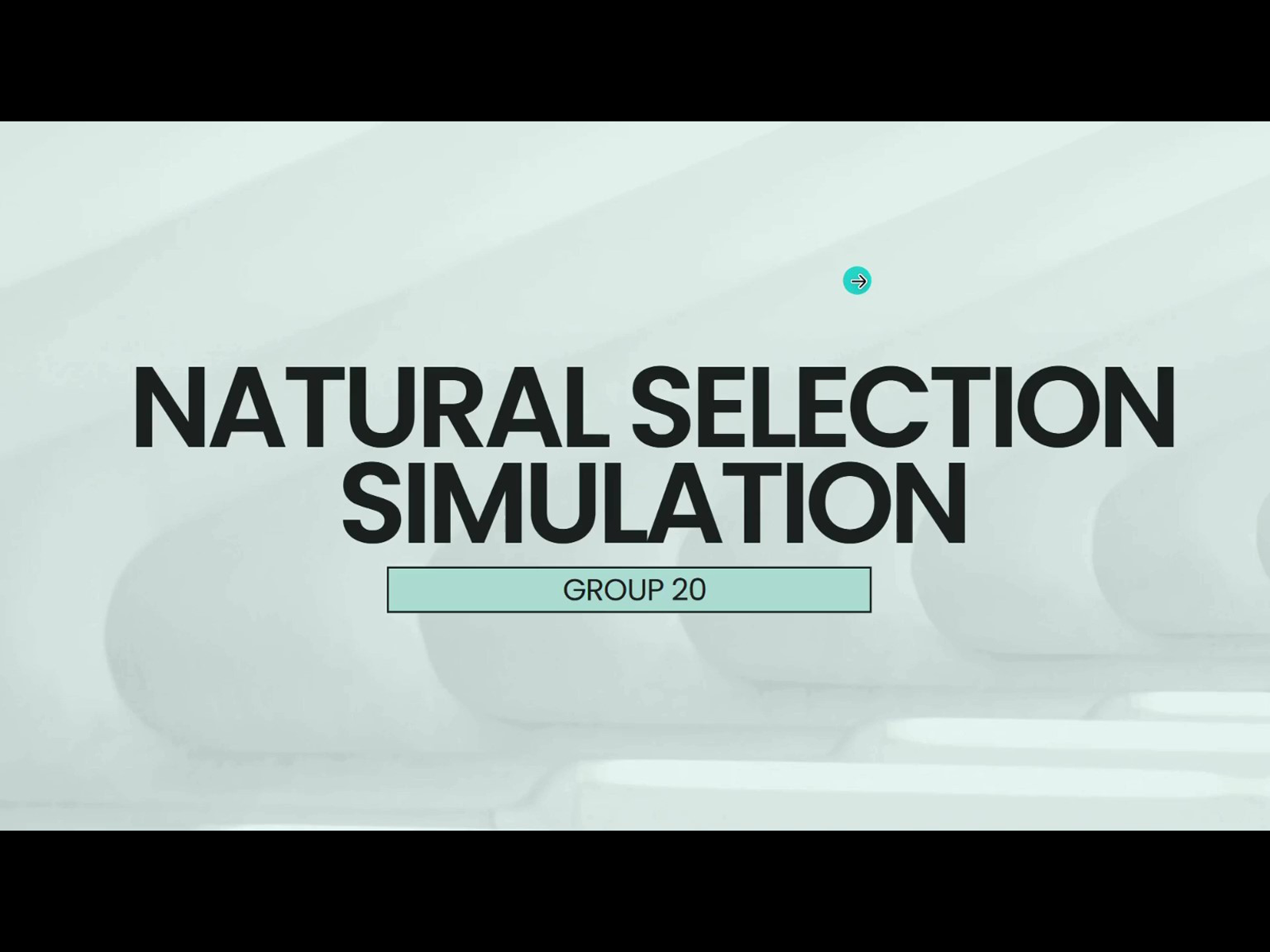 Natural Selection Simulation