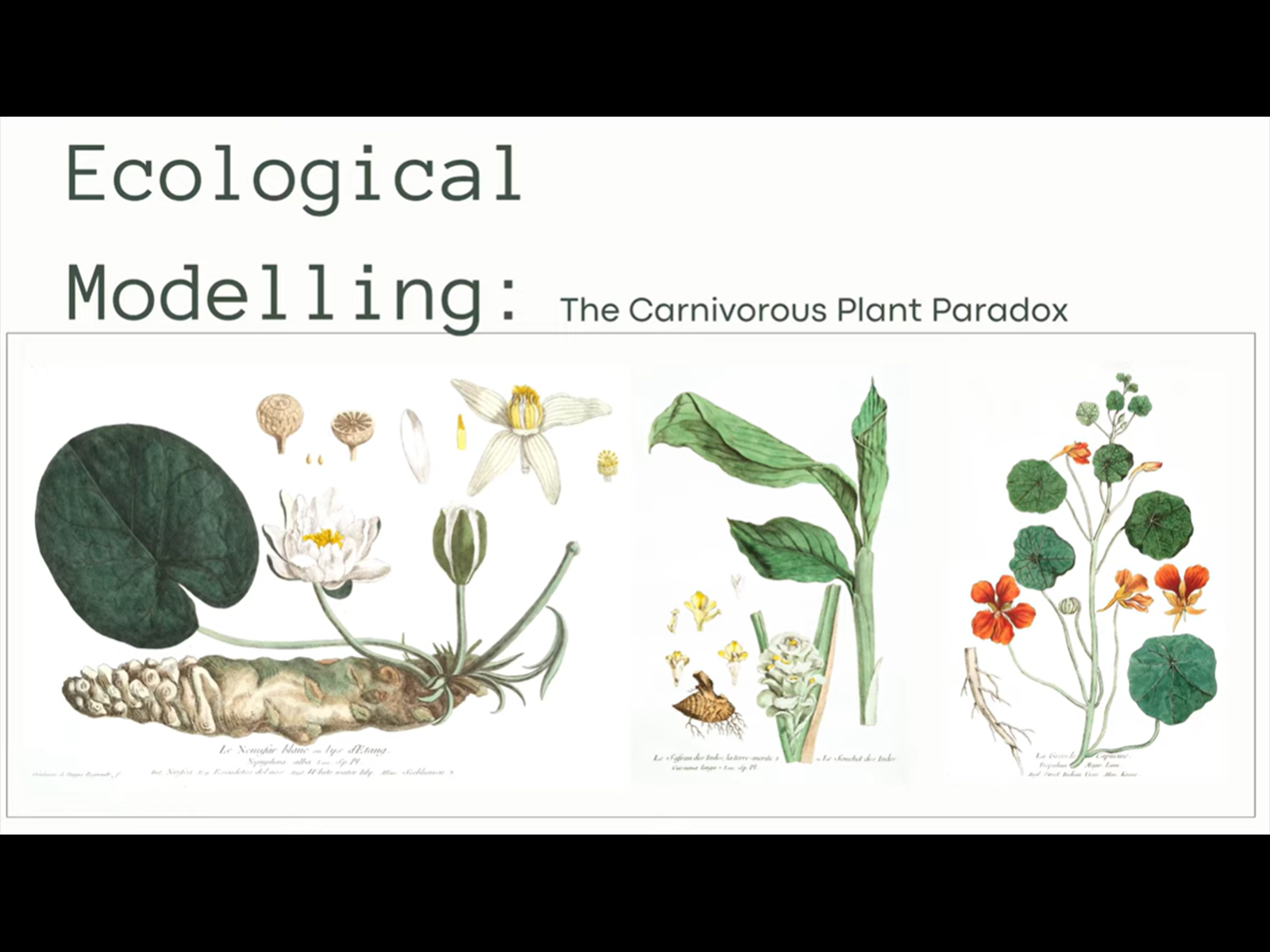 Ecological Modelling the Carnivorous Plant Paradox