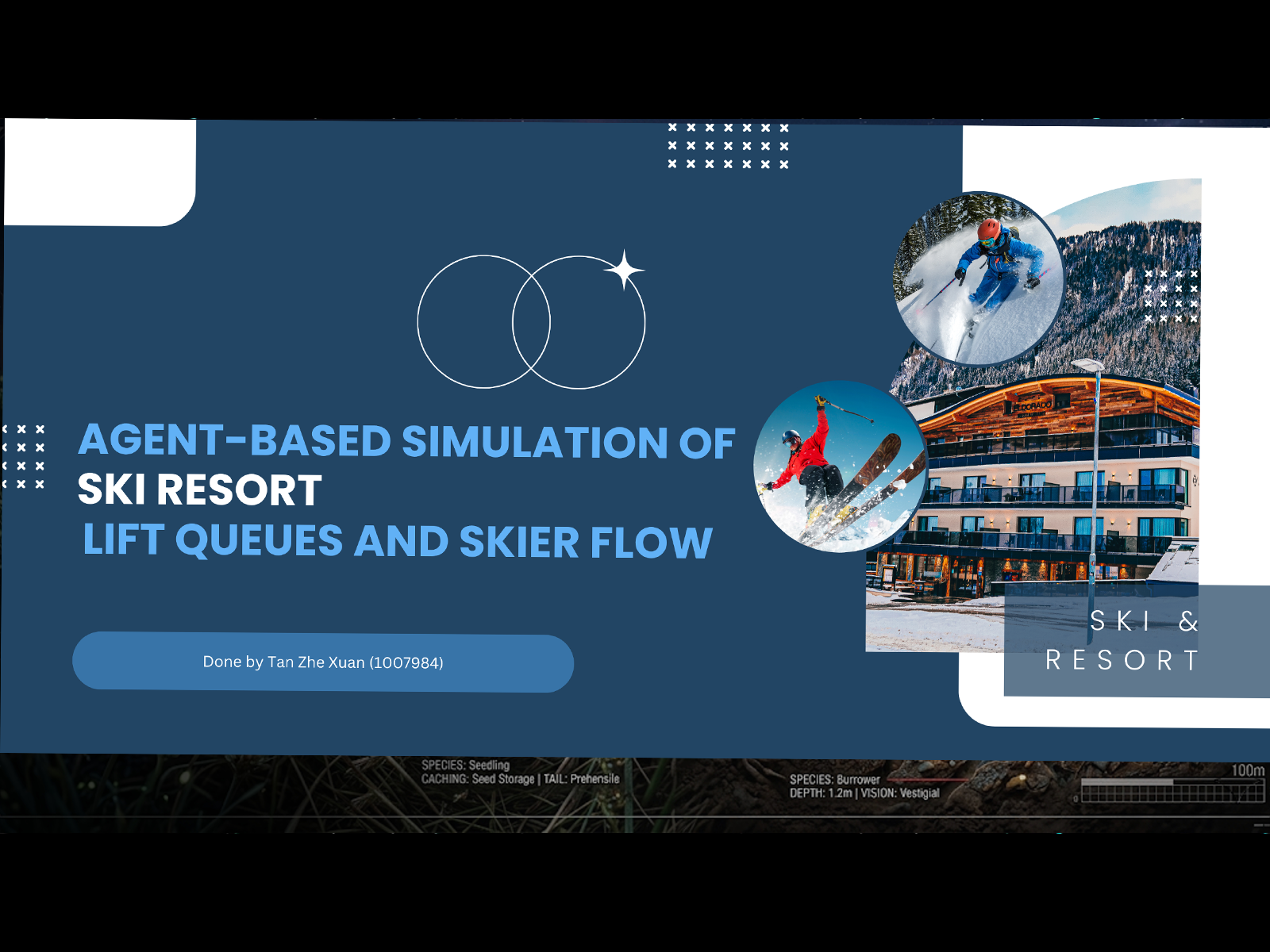 Agent-Based Simulation of Ski Resort Lift Queues and Skier Flow
