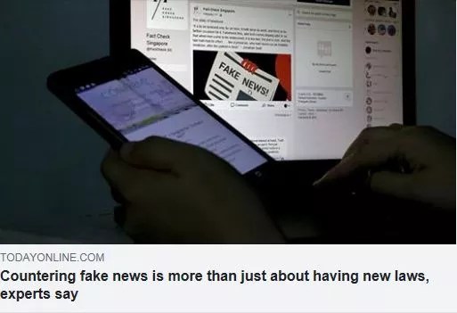 Countering fake news is more than just about having new laws experts say
