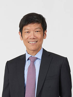 International advisory panel