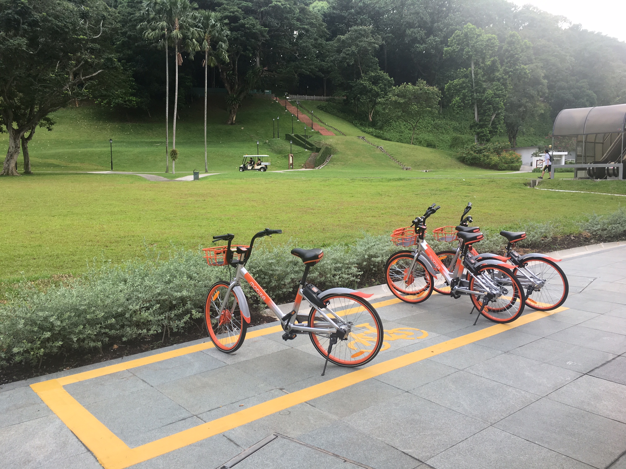 How do cities respond and experiment The case of bike share in Singapore