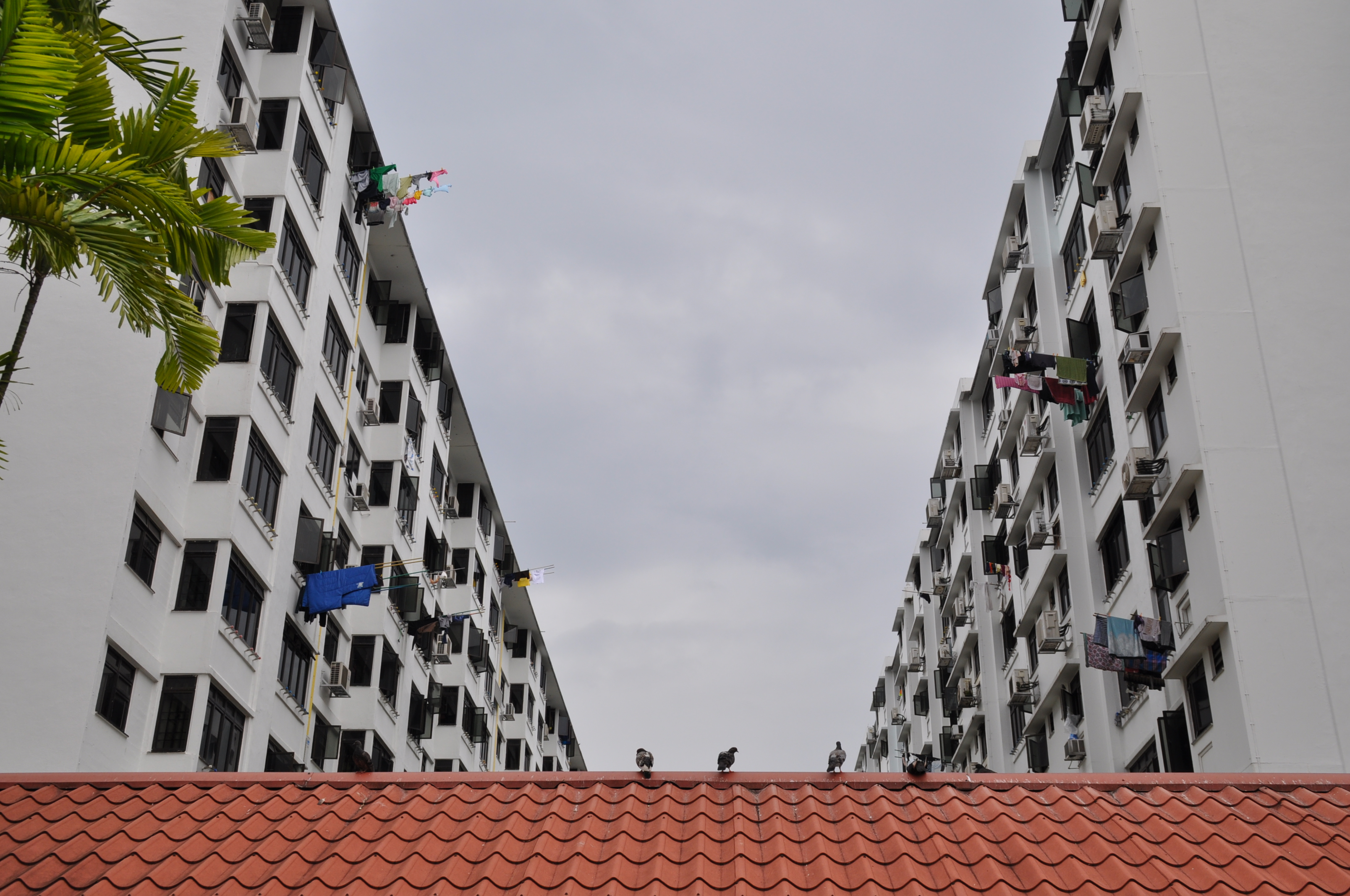 History of Innovation Building Technology Innovation in Singapore Housing  Development Board 1960  1995