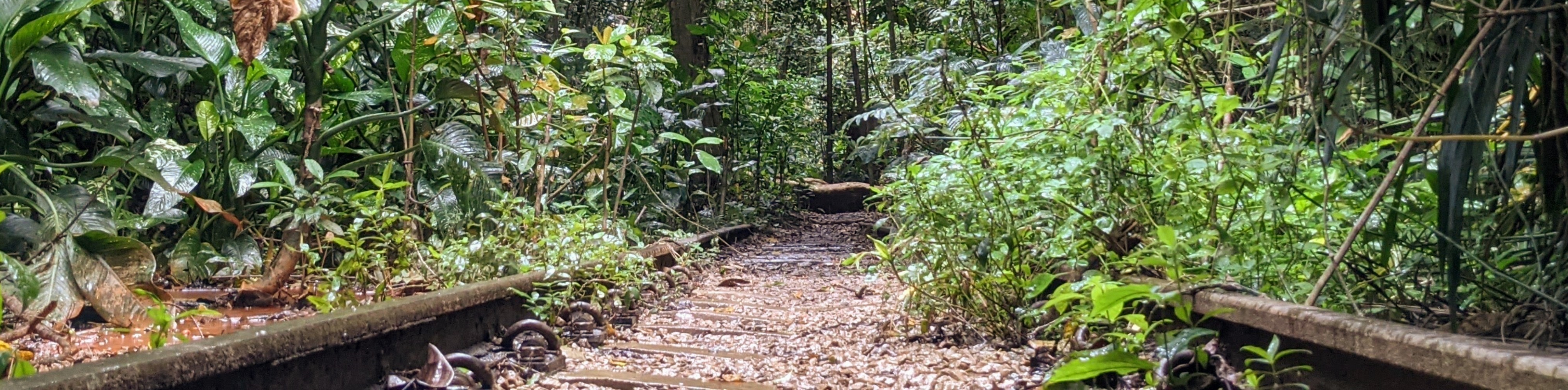 Placekeeping of Rail Corridor