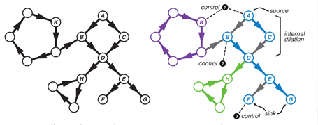 Controlling Networks by Design