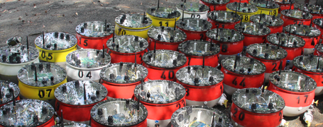 Swarming Robots