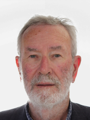 Professor Stephen HamnettVisiting Professor