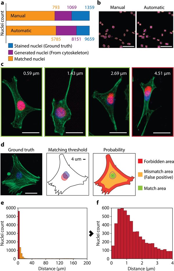 SUTD researchers unravel cell biology through artificial intelligence