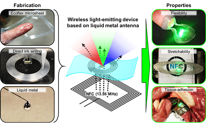 SUTD researchers develop liquid metal antenna that can conform to soft biological tissues