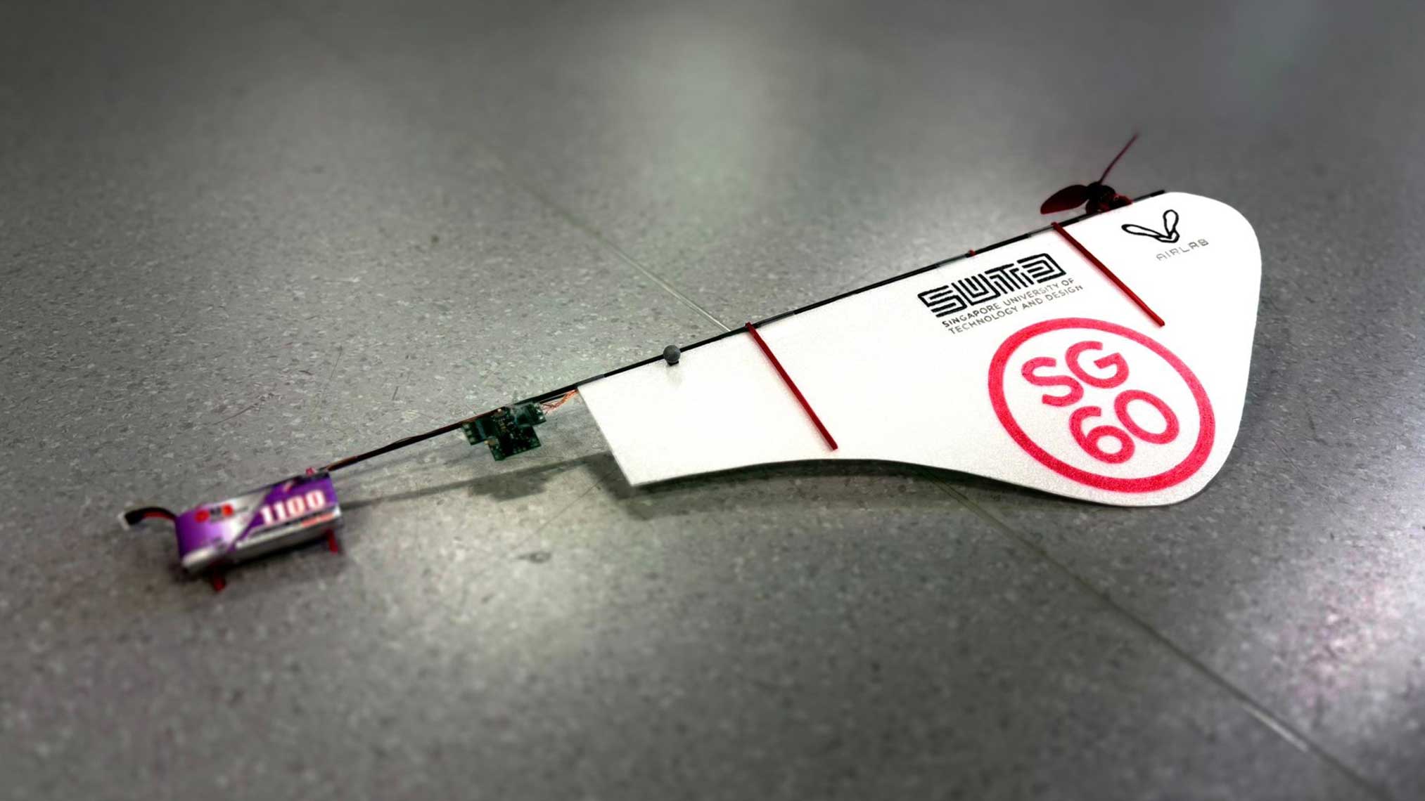 Small but mighty A biomimetic idea takes flight