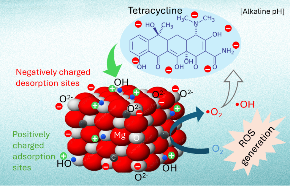 Defect rich carbon modified MgO nanoparticles for enhanced catalytic degradation of wastewater pollutants