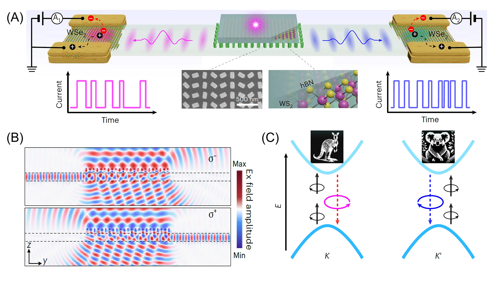 Tiny circuit turns a hidden property of electrons into a working info channel