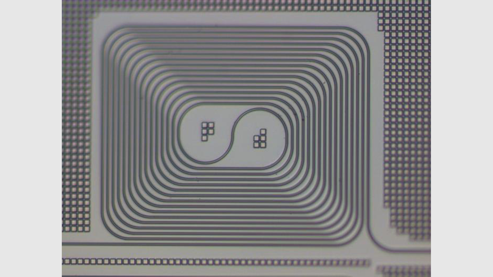 SUTD and ASTAR IME researchers enable wafer-scale broadband light generation by replacing hydrogen with a heavier isotope