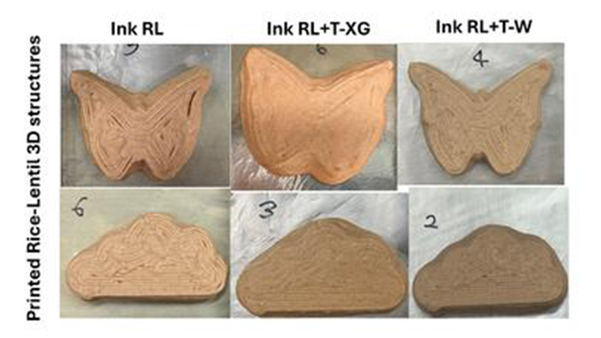 Printing balanced vegetarian dishes from rice and lentil flours