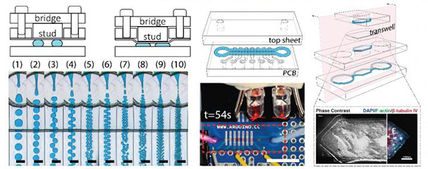 SUTD researchers develop a rapid low-cost method to 3D print microfluidic devices