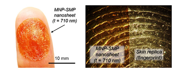 SUTD develops syringe-injectable self-expandable and ultraconformable magnetic nanosheets for smart drug delivery