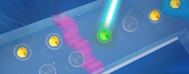 SUTD researchers discover fluorescence-activated sorting at single-droplet level using focused sound waves
