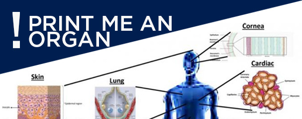 Print me an organ Why are we not there yet