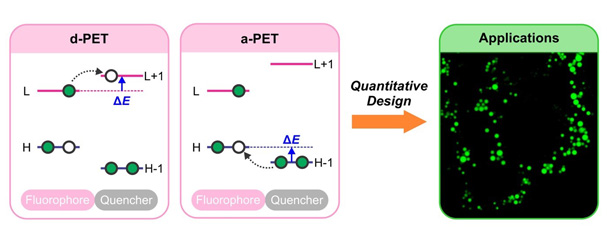 General Descriptor Sparks Advancements in Dye Chemistry