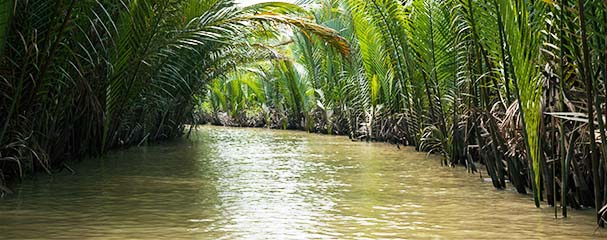 SUTD study uncovers how big droughts in the Greater Mekong trigger CO2 emission bursts