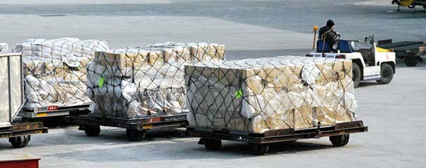 Carbon labelling can potentially encourage eco-friendly E-commerce